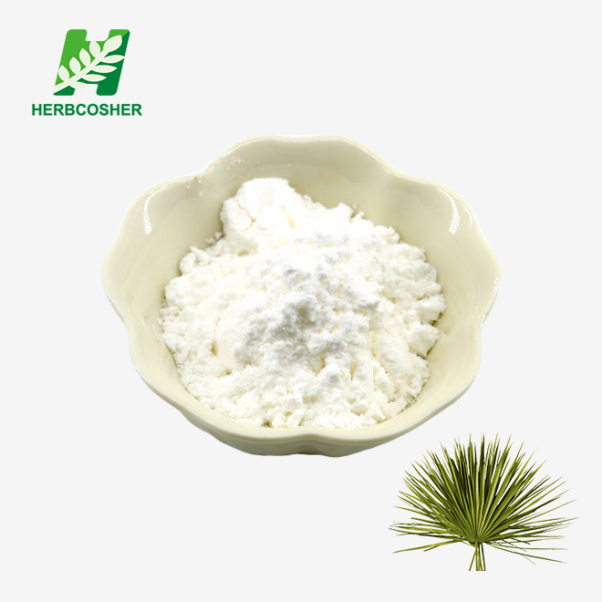 Saw Palmetto Extract